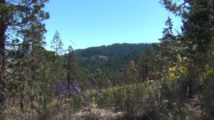 Ashland Oregon hiking trails, Ashland Oregon hiking, Ashland Oregon trails,