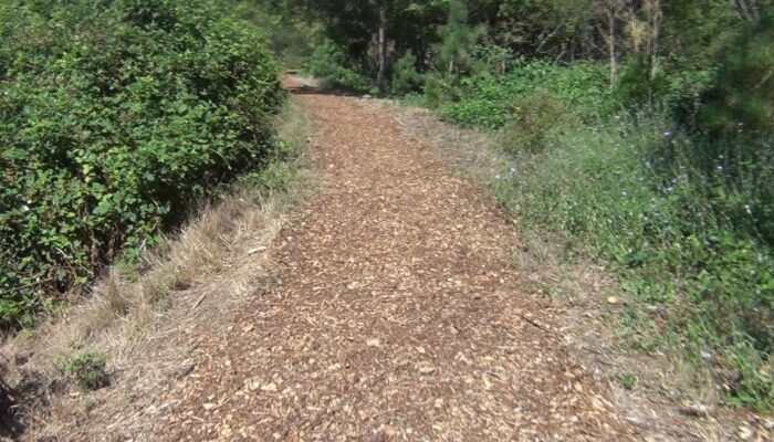 Ashland Oregon hiking trails, Ashland Oregon hiking, Ashland Oregon trails, 