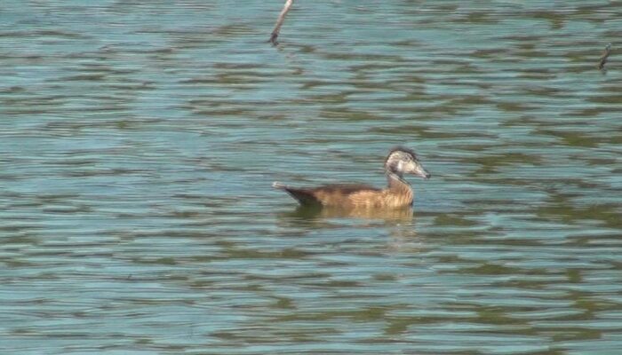 Ashland Oregon hiking trails, Ashland Oregon hiking, Ashland Oregon trails, 