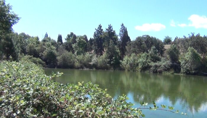 Ashland Oregon hiking trails, Ashland Oregon hiking, Ashland Oregon trails, 