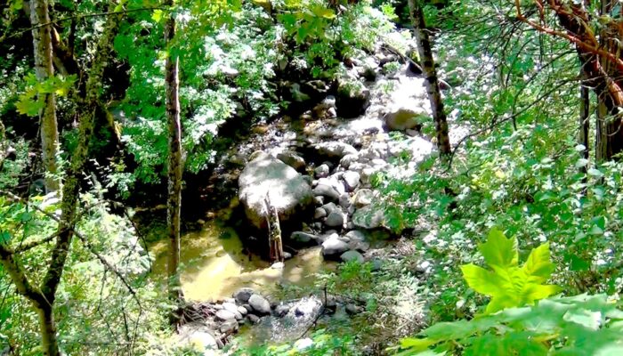 fairy3 Ashland Oregon hiking trails, Ashland Oregon hiking, Ashland Oregon trails,