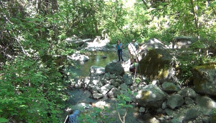 fairy7 Ashland Oregon hiking trails, Ashland Oregon hiking, Ashland Oregon trails,