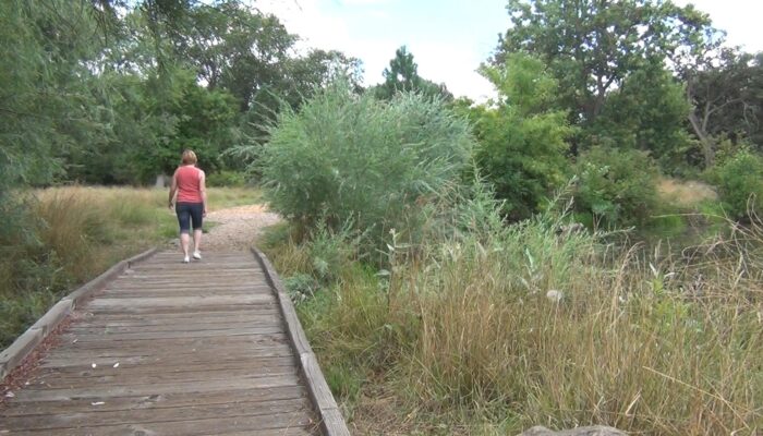 Ashland Oregon hiking trails, Ashland Oregon hiking, Ashland Oregon trails, 