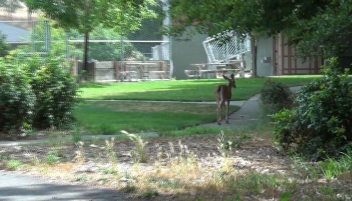 Ashland Oregon hiking trails, Ashland Oregon hiking, Ashland Oregon trails, 