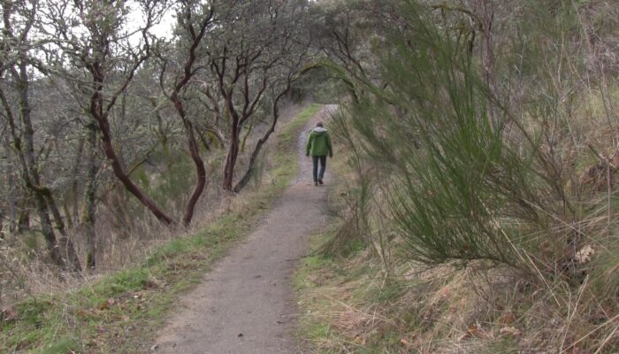 Ashland hiking trails, Ashland Oregon trails