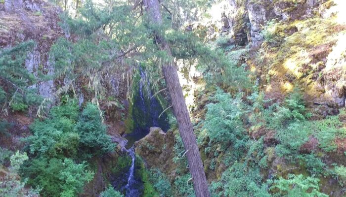 Ashland Oregon hiking trails, Ashland Oregon hiking, Ashland Oregon trails, 